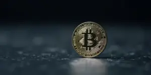 Bitcoins nutzen: Investieren, Handeln, Bezahlen, Verwahren