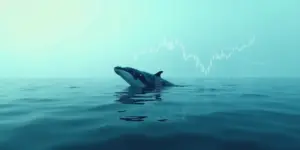 Bitcoin Whales deuten Top an: Was bedeutet das?