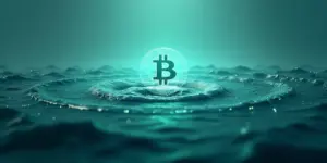 Bitcoin: Was uns der Short-Term Holder Balance verrät!