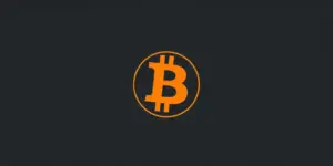 Charlie Shrem Auktion: Bitcoin Magazin & Silk Road