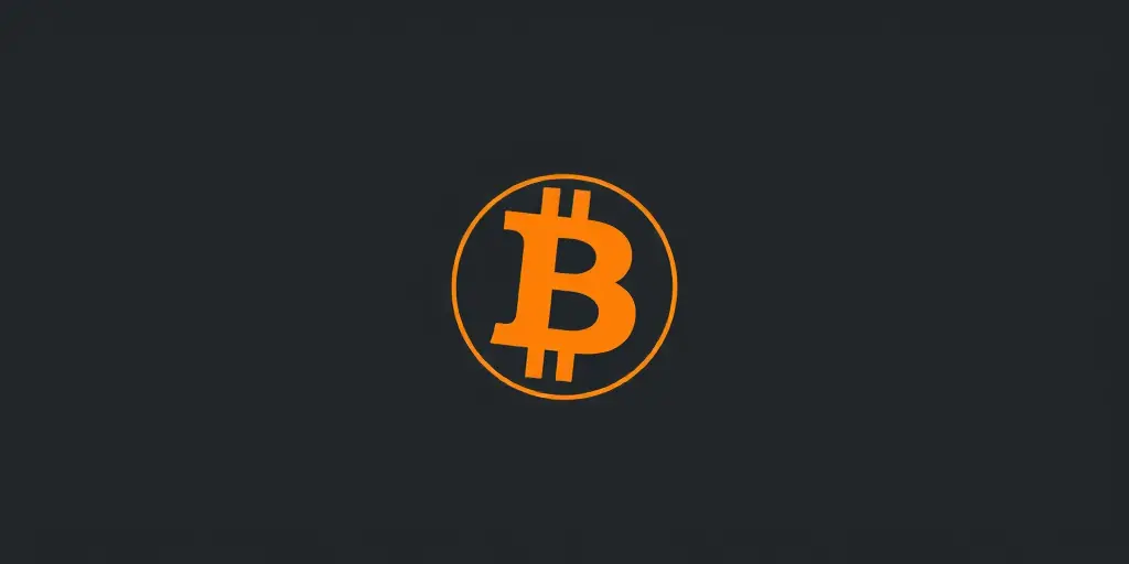 Charlie Shrem Auktion: Bitcoin Magazin & Silk Road