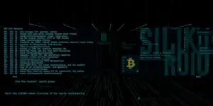 Ross Ulbricht: Kritik, Silk Road & Begnadigung