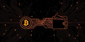 SpaceX bewegt 130 Mio. USD in Bitcoin: Was steckt dahinter?