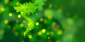 Krypto-Pilot in Vietnam: Lahmer Start