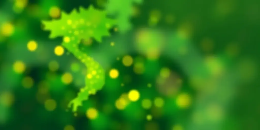 Krypto-Pilot in Vietnam Lahmer Start | BlockchainTicker Krypto-Pilot in Vietnam: Lahmer Start