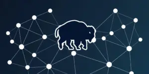 Forward Industries startet BisonFi AMM auf Solana